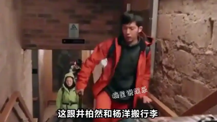 老艺术家们上综艺节目真的不受待见吗?