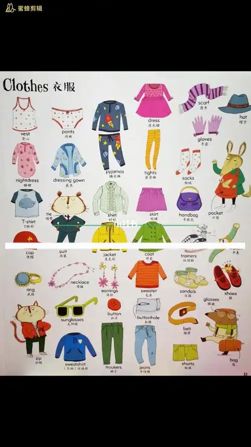 clothes衣服英语单词大书