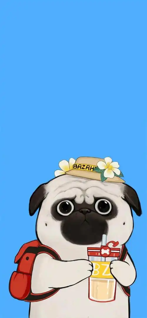 萌宠图片,萌宠图片大全可爱高清 呆萌(卡通可爱萌宠系壁纸)