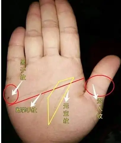 手相:女人富贵命 罕见手相,,一世享清福,财福多多