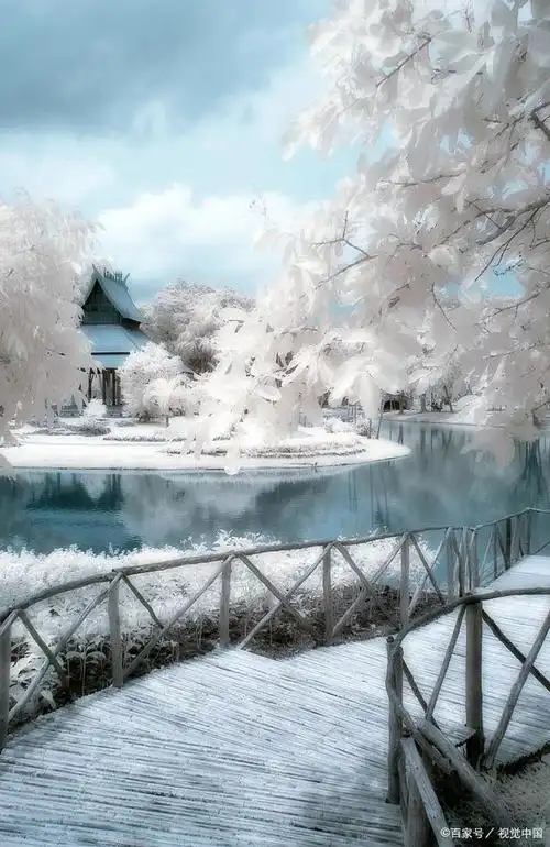 凛冬已至,十首诗词藏着冬天最美的瞬间|浮烟雾雪,寒露霜华