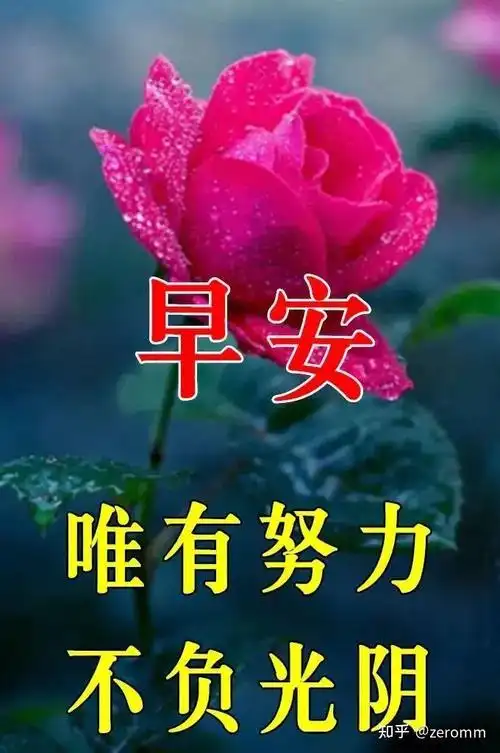 清晨放松心情的早安问候祝福语,最美的早上好祝福语图片 - 知乎