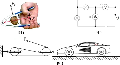 此时核桃钳可视为两根杠杆.