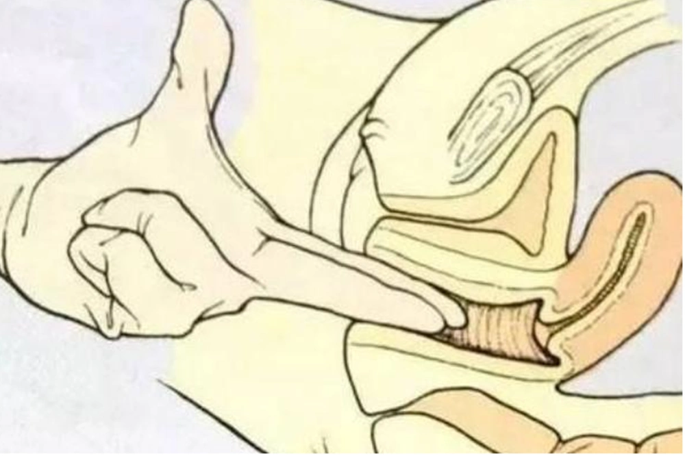 顺产生娃医生这个动作比内检更尴尬让产妇终身难忘