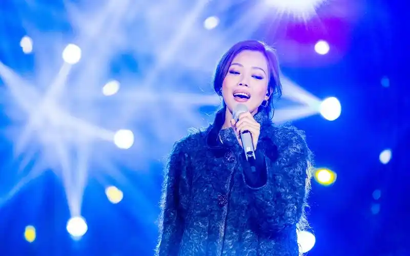 > 《我是歌手4》容祖儿高清电脑壁纸(1920×1200)