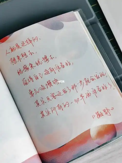 每日手写打卡  #手写摘抄  #手写文案  #撒野  #原耽语录  #励志