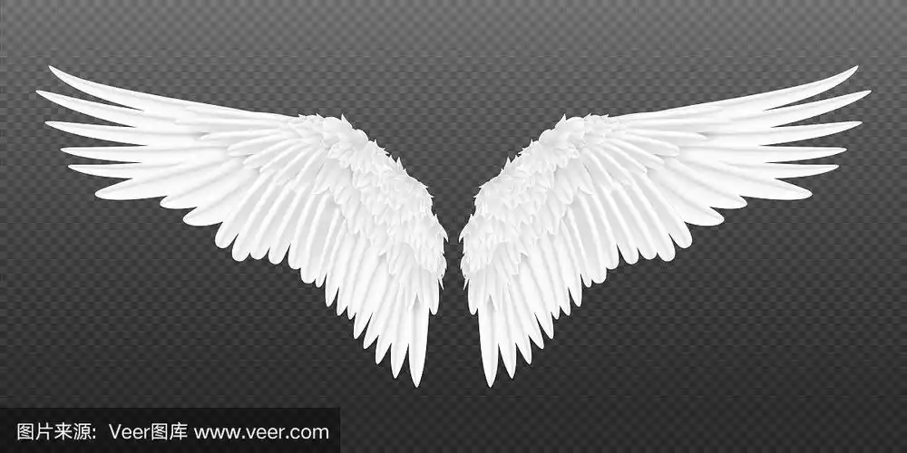 一对白色孤立的天使翅膀与3d羽毛在透明的背景.矢量鸟翅膀设计