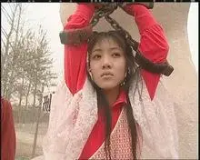 金庸武侠小说《侠客行》  尤翠玲  1982年香港电影《侠客行》饰侍剑