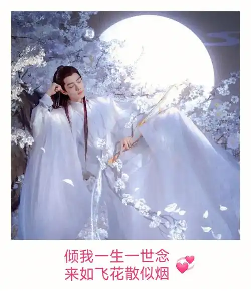 肖战玉骨遥古风签