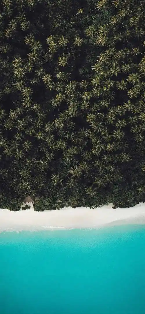 专题 | iphone 高质感壁纸(4k高清)