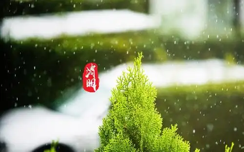 清明主题唯美高清桌面壁纸