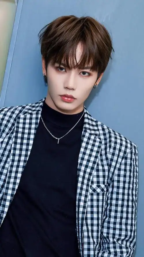 林彦俊(中国台湾男歌手,演员))_石塘网