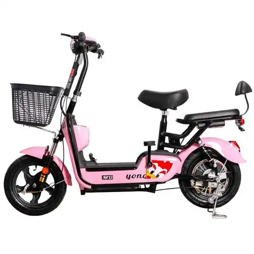 正品电动自行车