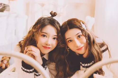 标题:一对好朋友