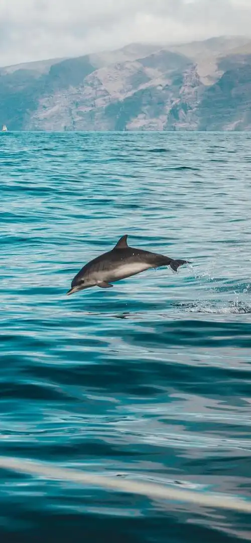 碧蓝大海高清风景手机壁纸