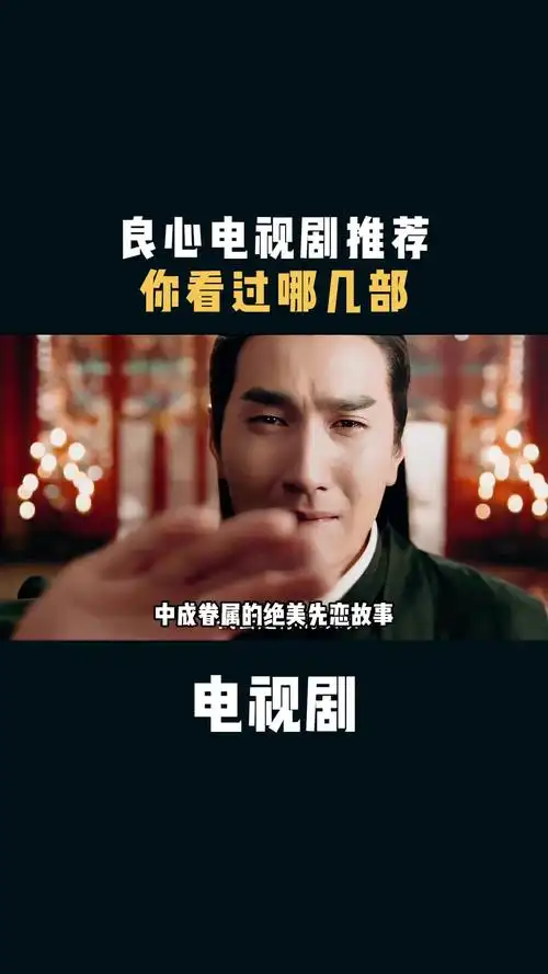 电视剧:良心电视剧推荐,你看过哪几部