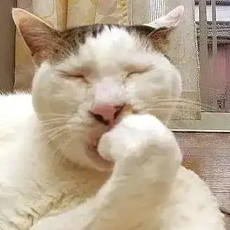 热搜第一我最爱的表情包敦敦走了