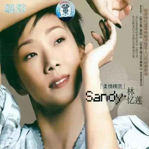 林忆莲至少还有你sentimentalversion