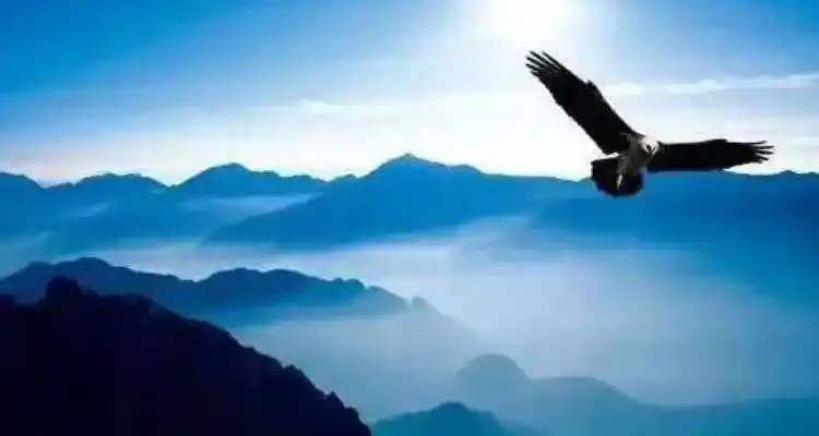 形容心胸格局大的诗句