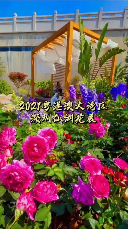 2021粤港澳大湾区深圳花展3月20号开幕,展期到3月29