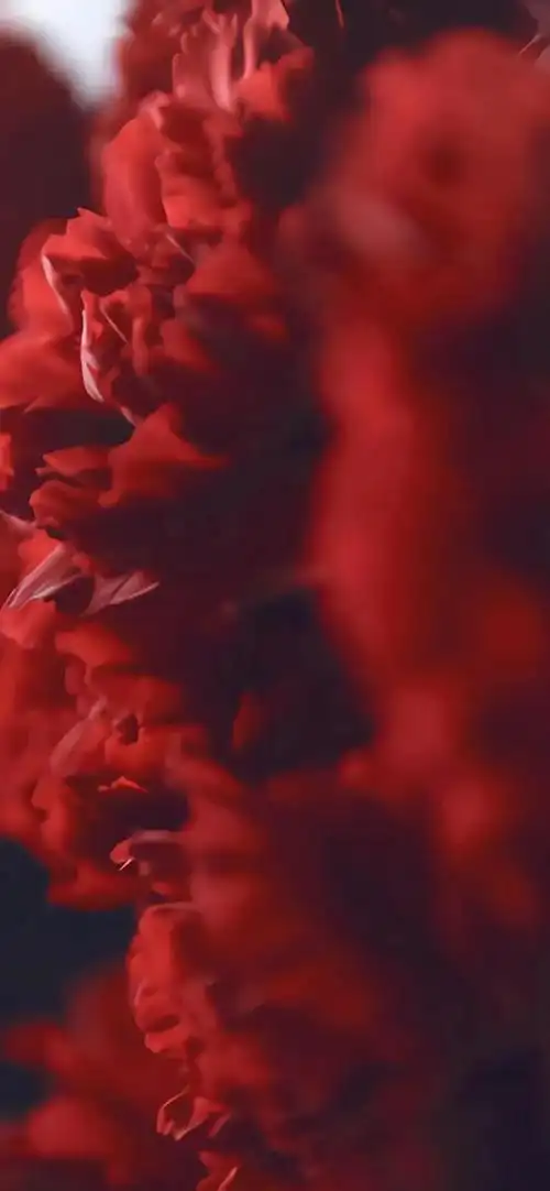 超级好看的红色系壁纸,omg子