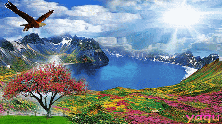 鸟语花香生机盎然