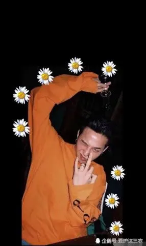 权志龙小雏菊图片壁纸