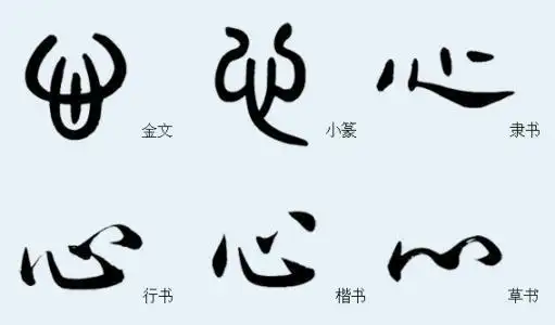 从"心"字的演变上说,"心"原来是一个象形字,据甲骨文和小篆,中间像心