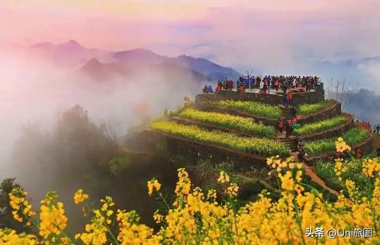 定格美图丝丝春意浸人间风景如画入眼帘