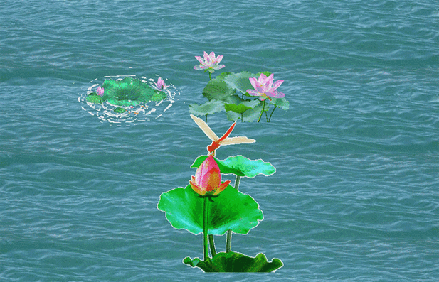 650_418gif 动态图 动图