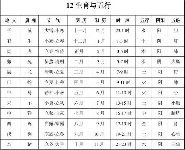 12生肖与五行