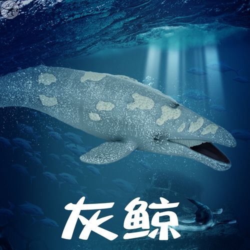 林畅海洋世界仿真动物大号鲸鱼鲨鱼模型灰鲸套装海底生物儿童玩具