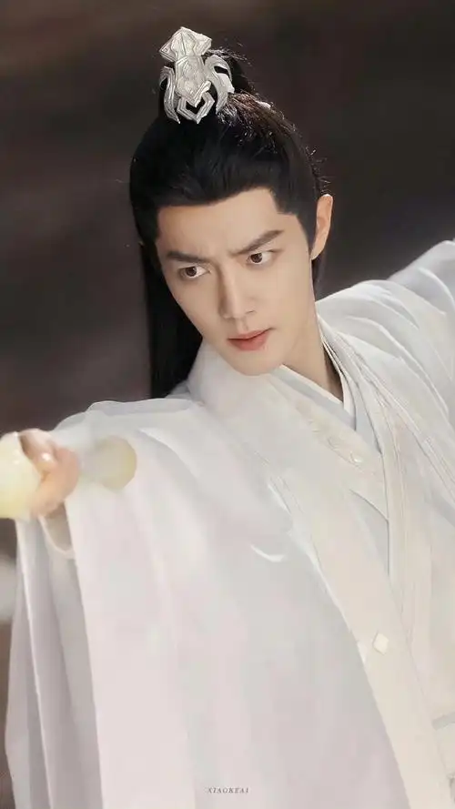 八大古装公子##肖战时影