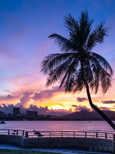 三亚大东海风景区日出天空云景海平面椰子树_高清图片_全景视觉