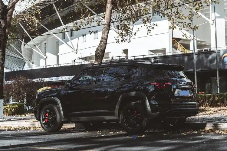 哈弗二代大狗亮黑武士作业