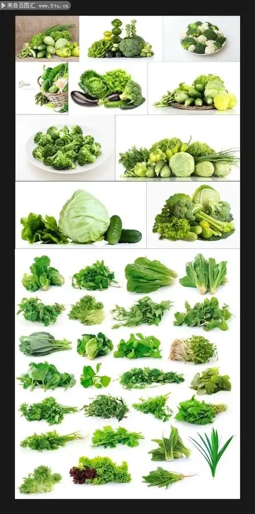 新鲜绿色蔬菜高清图片素材