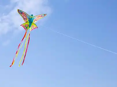 蝴蝶风筝图片
