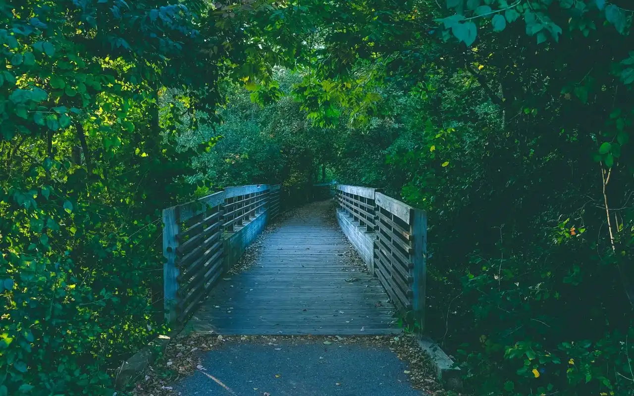 安静优美的小桥自然风景图片桌面壁纸