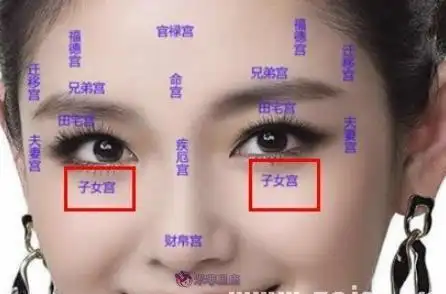 泪堂在面相学中又称子女宫.