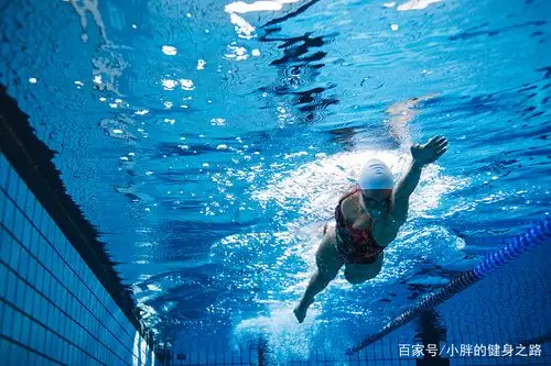 还在为不会正确游泳烦恼?看完这篇,轻松学会游泳