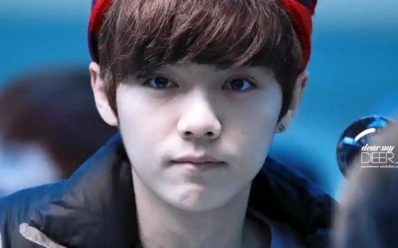 【鹿晗】总是无意识撒娇