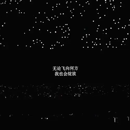 背景图 朋友圈配文 文字图 句子 演唱会歌词『我好想好想好想爱这个