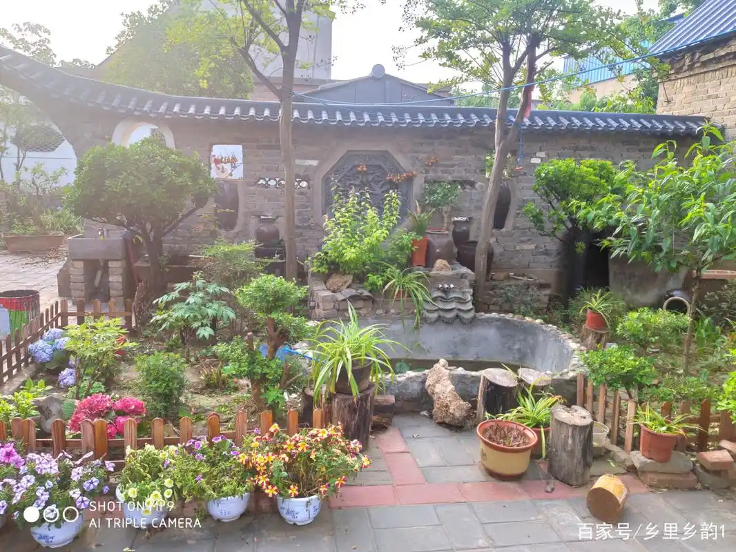 我的农村庭院设计,有花有果还有小菜园,十足的田园风情