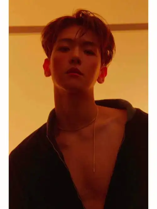 showtime 成员们挨个自我介绍 我一下就看中了他 边伯贤 怎么会有这么