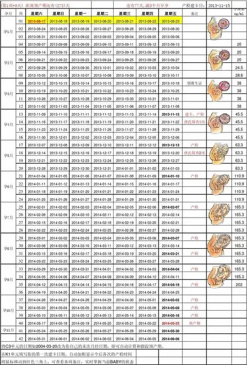 怀孕40周胎儿发育每周情况表-2010新版