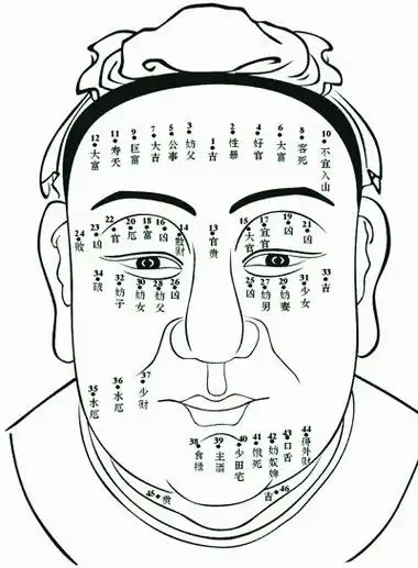 谷晟阳:十二种面相最好的女人【汇师经纪】