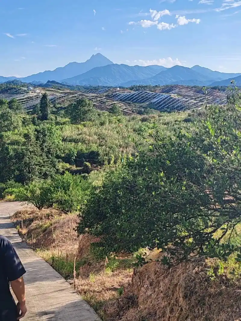 军峰山位于江西省宜黄县和南丰县交界处,主峰海拔1761米