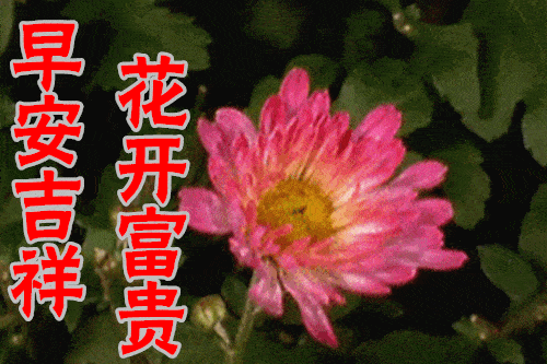 12月31日元旦快乐最新早晨好微信短语送朋友清晨唯美早上好图片带字