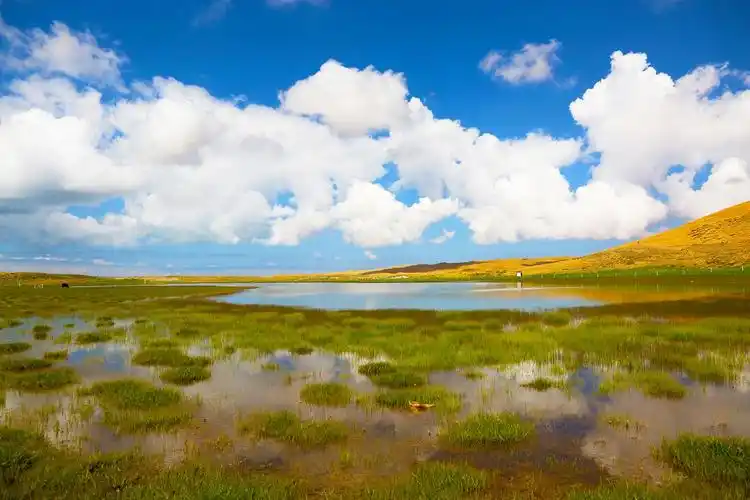【携程攻略】张掖月牙湖景点,在青海湖的那几天,呼吸最新鲜的空气,看