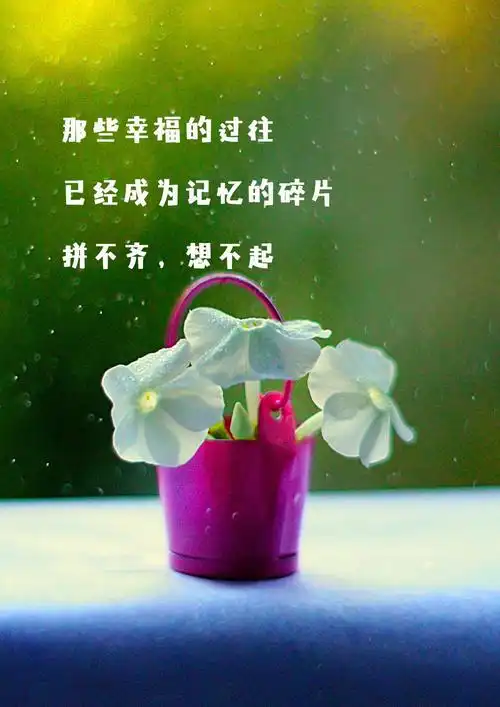 简介:一组精美的关于幸福的文字图片,关于,幸福,文字,图片,标签:唯美